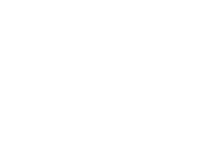 Let s put this downtown together and have it be something that our kids can be proud of   — Blake Shawn, The Downtow   
