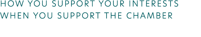 How you support your interests when you support the chamber