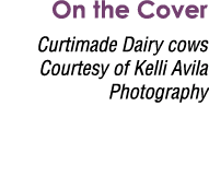On the Cover Curtimade Dairy cows Courtesy of Kelli Avila Photography