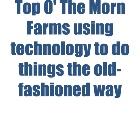 Top O' The Morn Farms using technology to do things the old-fashioned way
