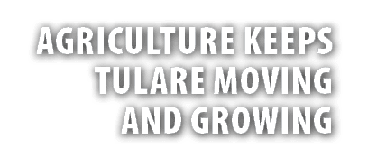Agriculture keeps Tulare moving and growing