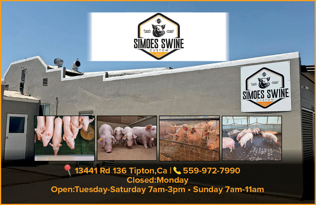 A sign advertises a pig farm. AI generated content