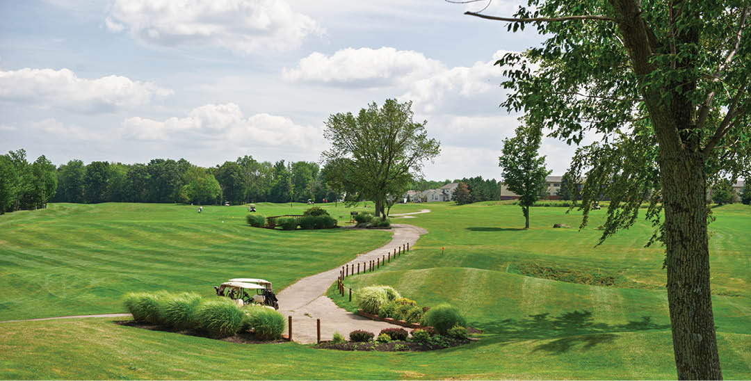 A green golf course with a tree in the background. Description generated by AI