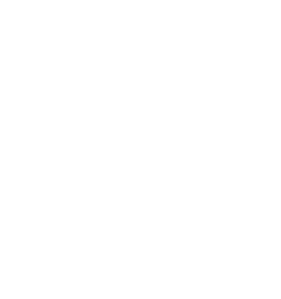 Fall   Napa Valley Film Festival   Vallejo Waterfront Weekend   Fleet Week at PIER 39   Six Flags Discovery Kingdom s   