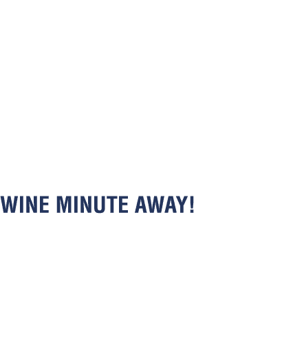  FEEL THE NEED FOR SPEED  The always busy Sonoma Raceway is located just nine miles west of Vallejo  Nestled in the b   