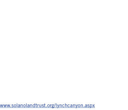 Lynch Canyon Open Space With habitats ranging from steep grasslands to the riparian corridor of Lynch Creek, the prop   