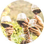 Hands toasting red wine glass and friends having fun cheering at winetasting experience - Young people enjoying harvest time together at farmhouse vineyard countryside - Youth and friendship concept