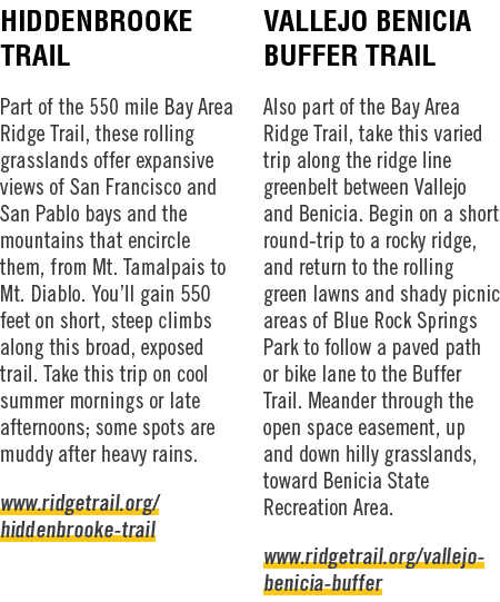 Hiddenbrooke Trail Part of the 550 mile Bay Area Ridge Trail, these rolling grasslands offer expansive views of San F...