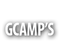 GCAMP’S