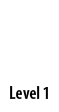  Level 1