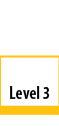  Level 3