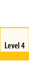  Level 4