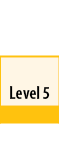  Level 5
