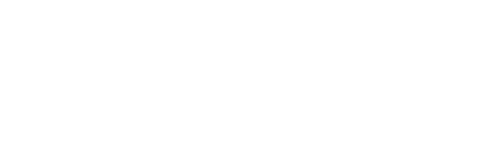 VOICE