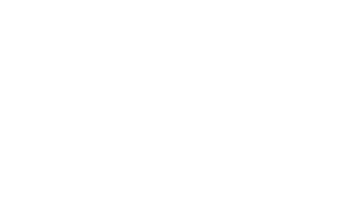���5 Board of Directors
