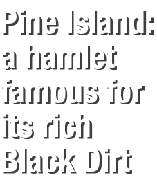 Pine Island: a hamlet famous for its rich Black Dirt