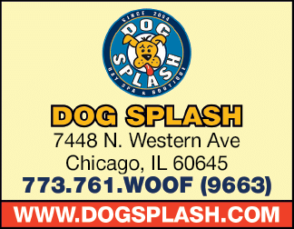 A logo for a dog grooming business is displayed. AI generated content