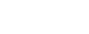Fun Fact Shelby Van Pelt wrote part of her smash hit debut novel, Remarkably Bright Creatures, on the library’s 2nd f...