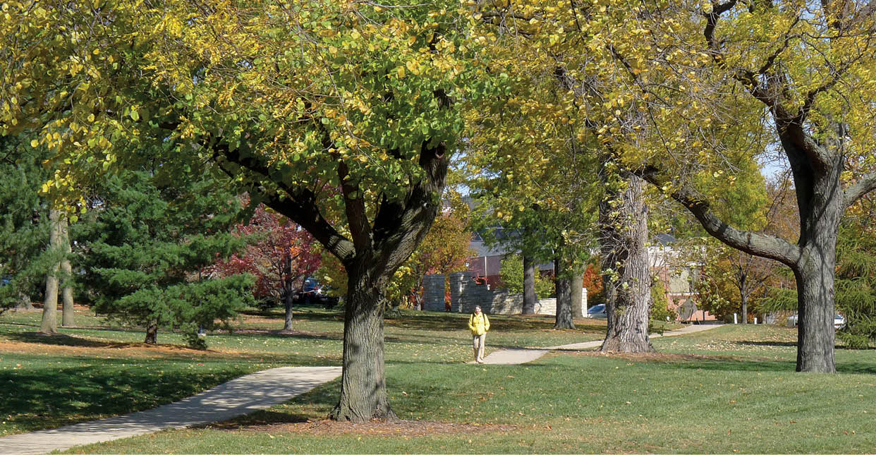 Scott Sanders/ssanders@dailyherald.com A student strolls around the campus at Wheaton College. Scenes in Wheaton featuring fall colors, for Chamber of Commerce Community Guide.