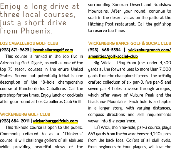 Enjoy a long drive at three local courses, just a short drive from Phoenix. LOS CABALLEROS GOLF CLUB (928) 671 9623 |...