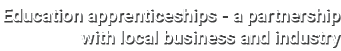 Education apprenticeships - a partnership with local business and industry