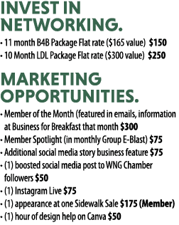 Invest in Networking. • 11 month B4B Package Flat rate ($165 value) $150 • 10 Month LDL Package Flat rate ($300 value...