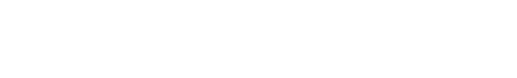 TOWNSHIP GOVERNMENT