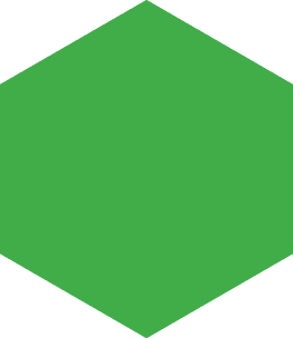 Polygon