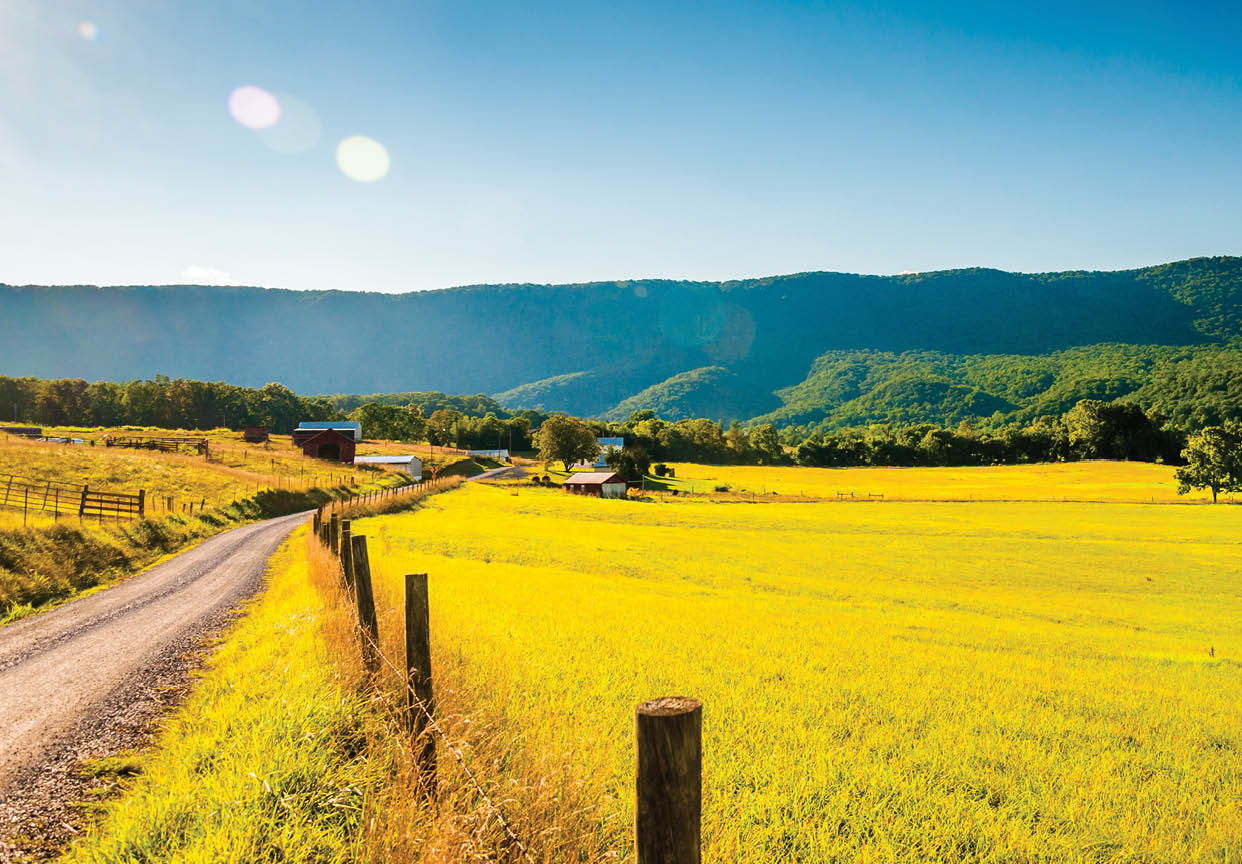 Dirt road and farm in the Shenandoah Valley, Virginia.
