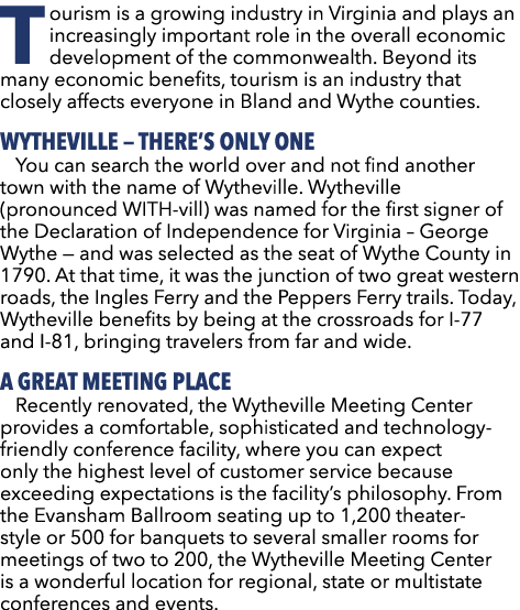 Tourism is a growing industry in Virginia and plays an increasingly important role in the overall economic developmen...