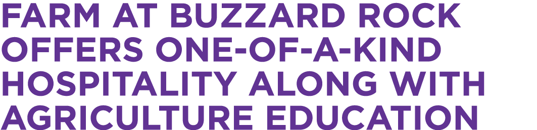 Farm at Buzzard Rock offers one of a kind hospitality along with agriculture education