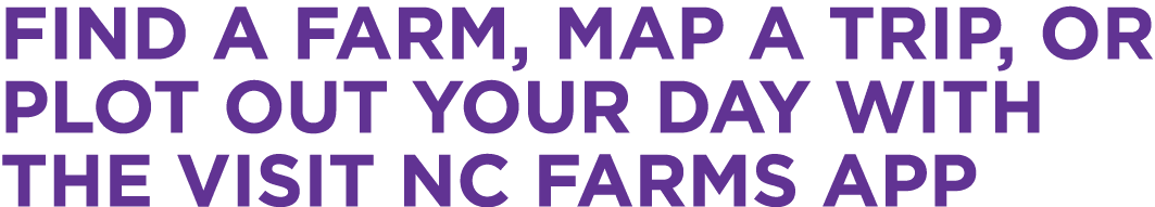 Find a farm, map a trip, or plot out your day with the Visit NC Farms App