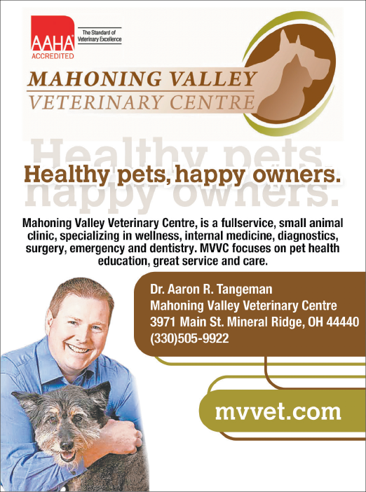 A man is holding a dog in his arms, and the dog is wearing a collar. The man is smiling and is the main focus of the image. AI generated content