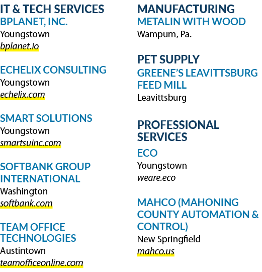 IT & TECH SERVICES BPLANET, INC. Youngstown bplanet.io ECHELIX CONSULTING Youngstown echelix.com SMART SOLUTIONS Youn...